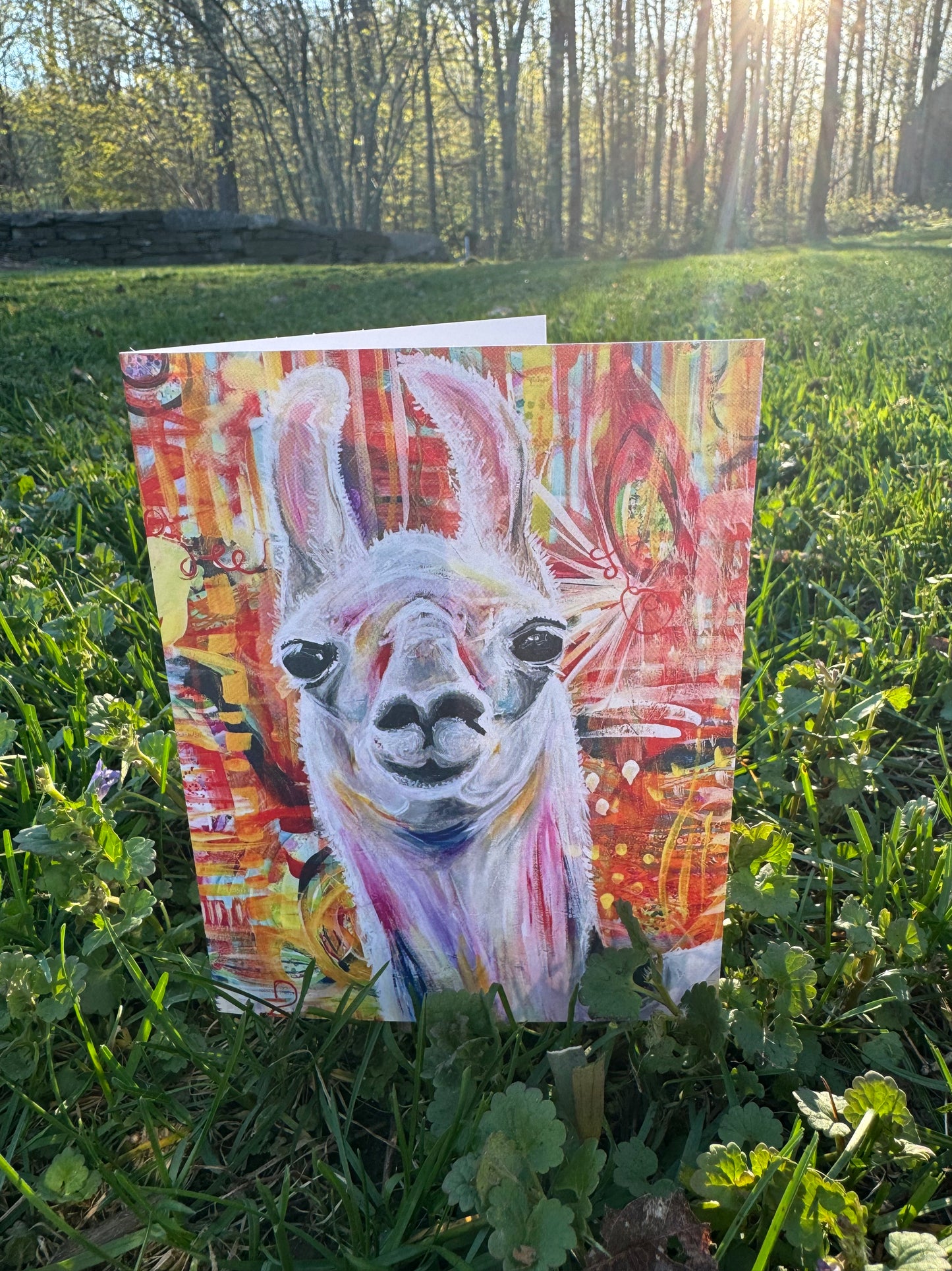 Llama Greeting Card