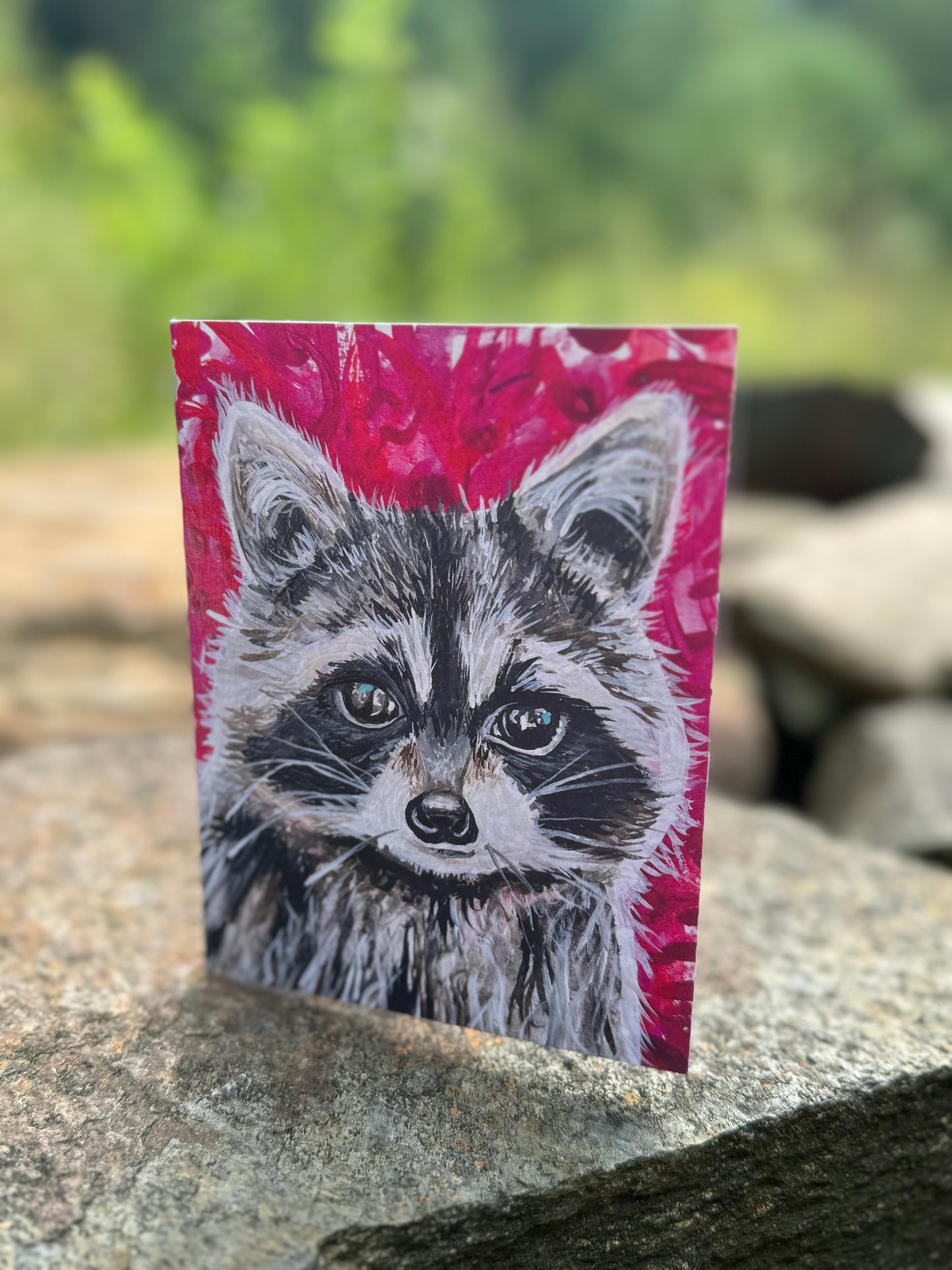 Raccoon Greeting Card
