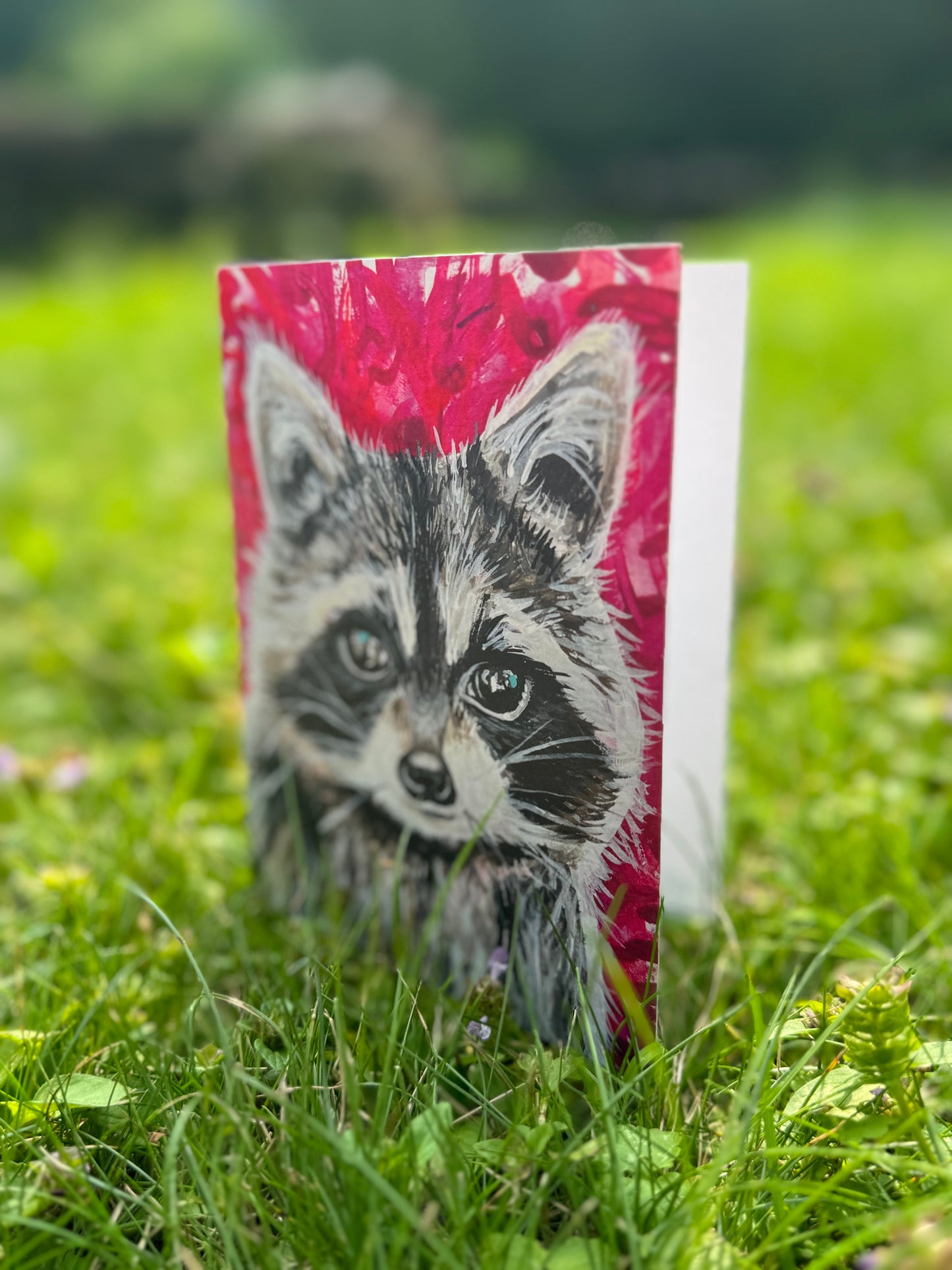 Raccoon Greeting Card