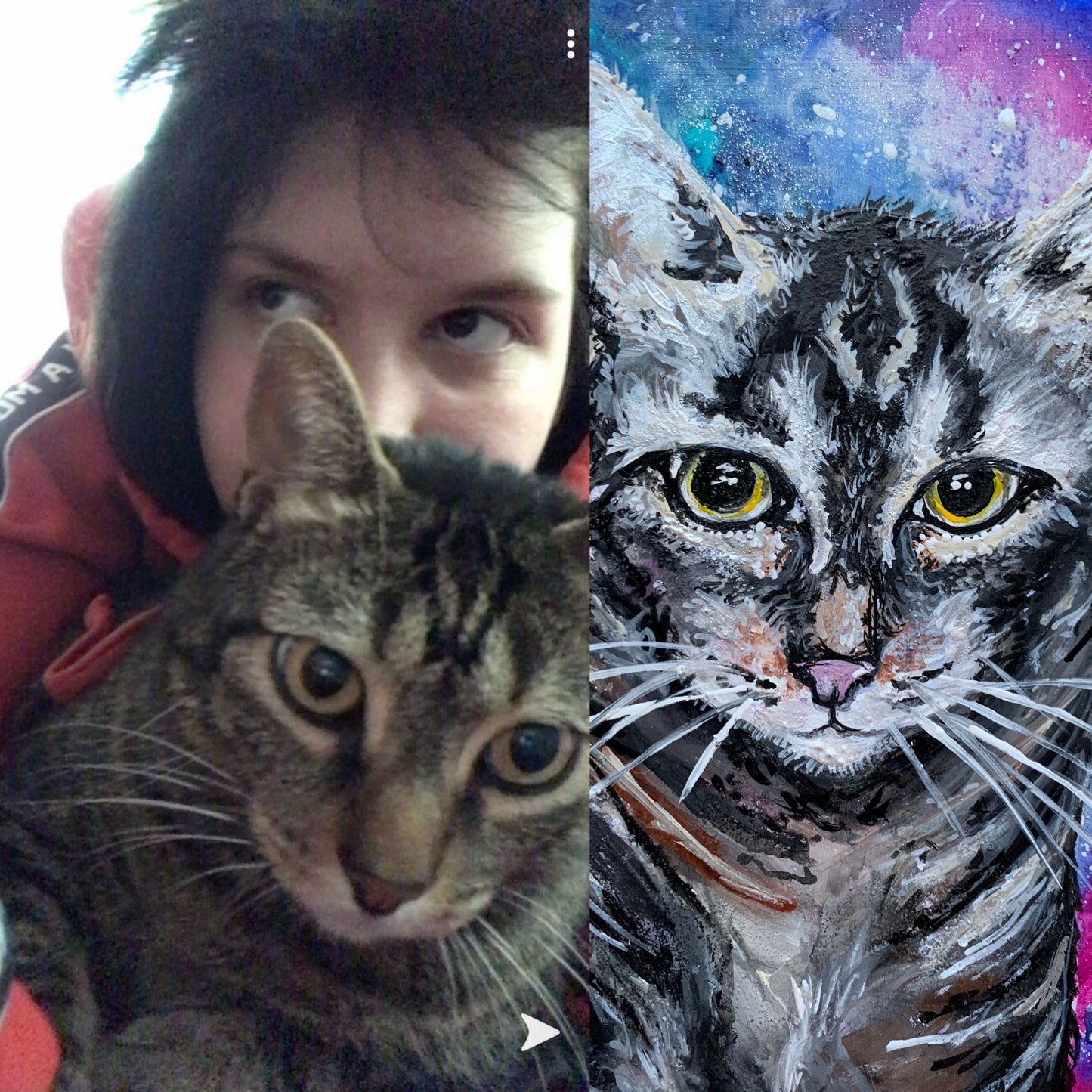 Custom Painted Pet Portrait