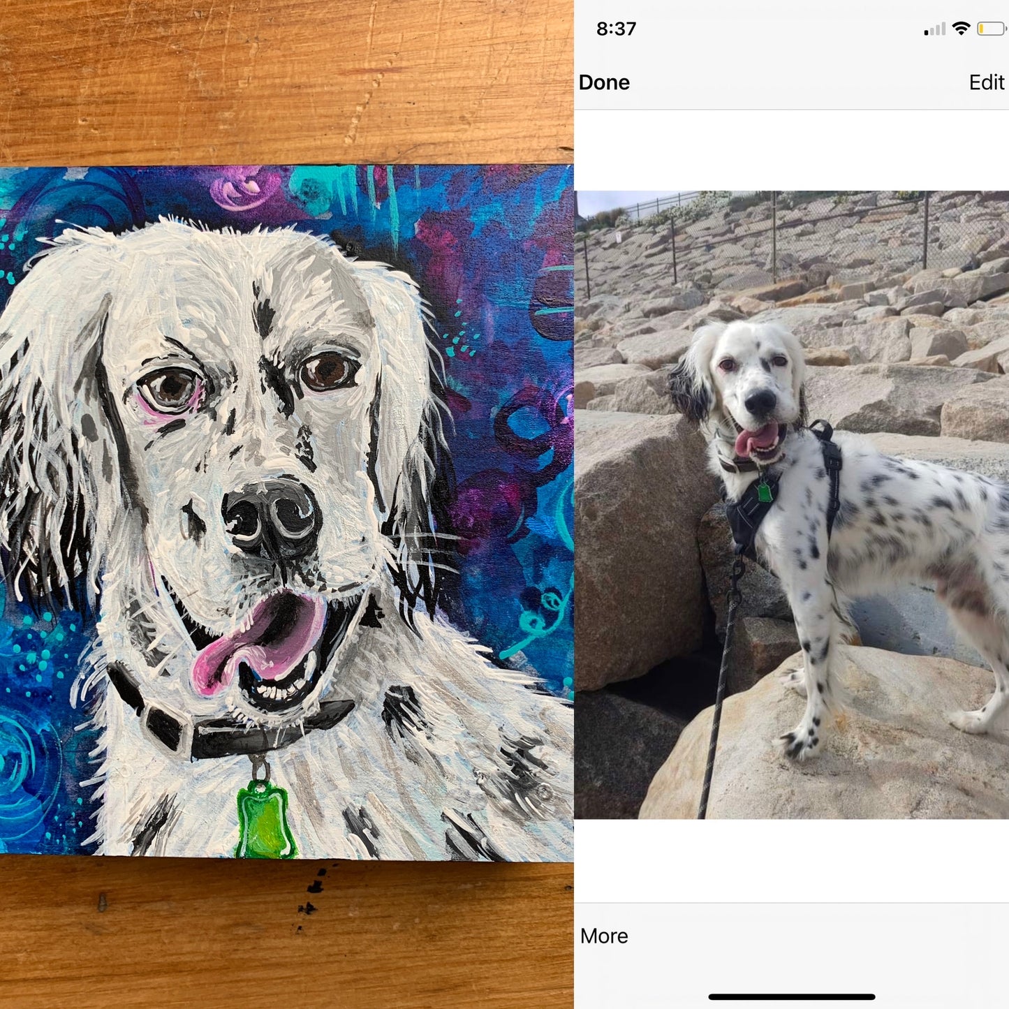 Custom Painted Pet Portrait