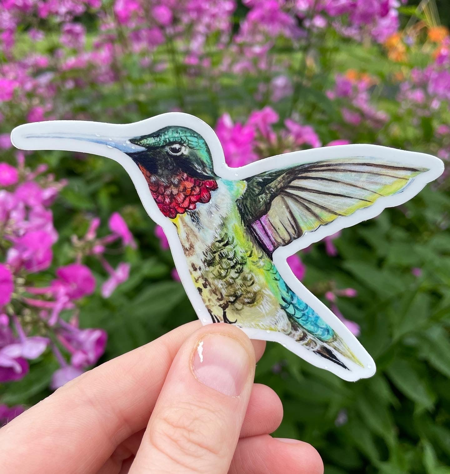 Ruby Throated Hummingbird Vinyl Sticker