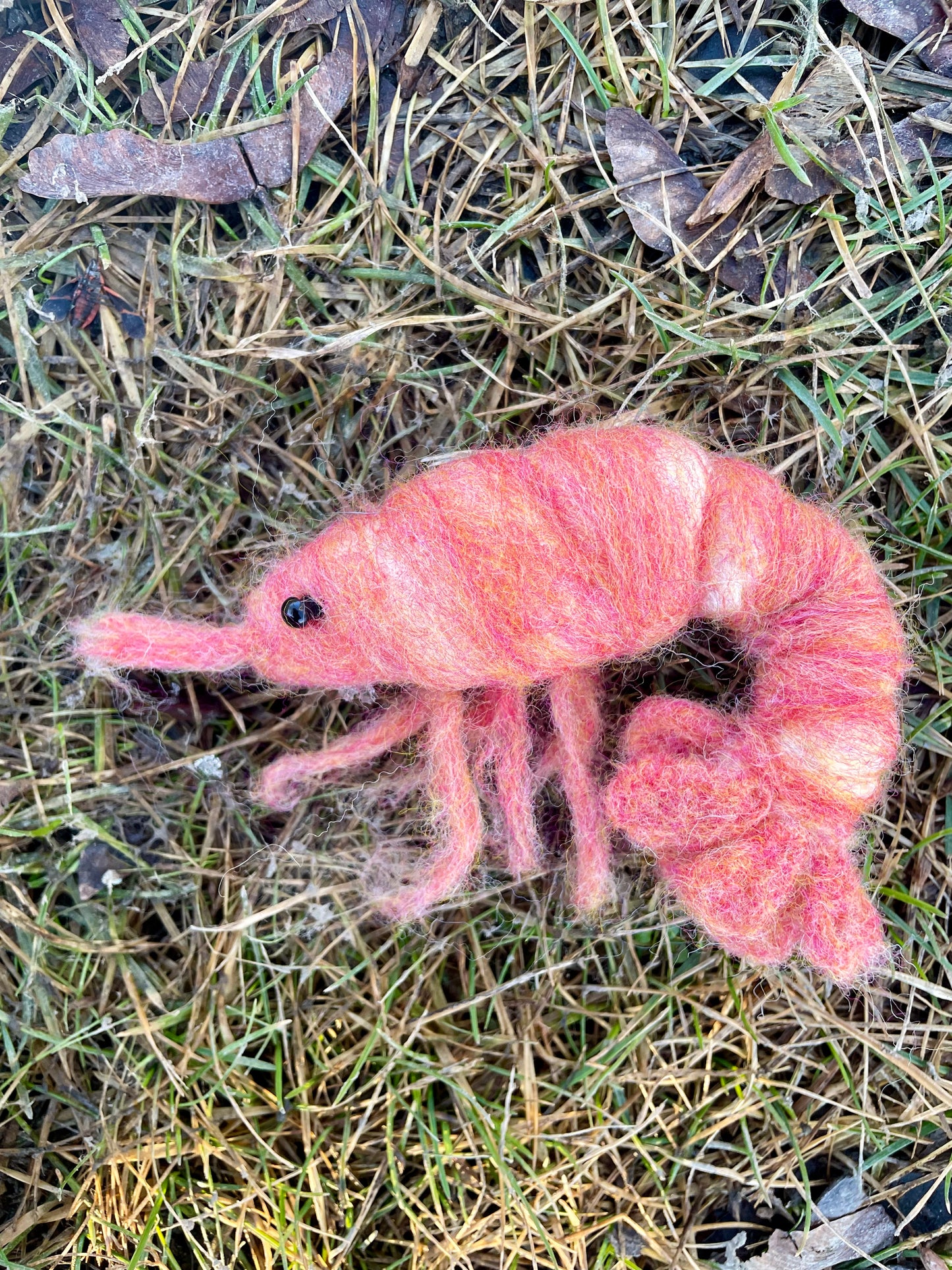 Emotional Support Needle Felted Shrimp