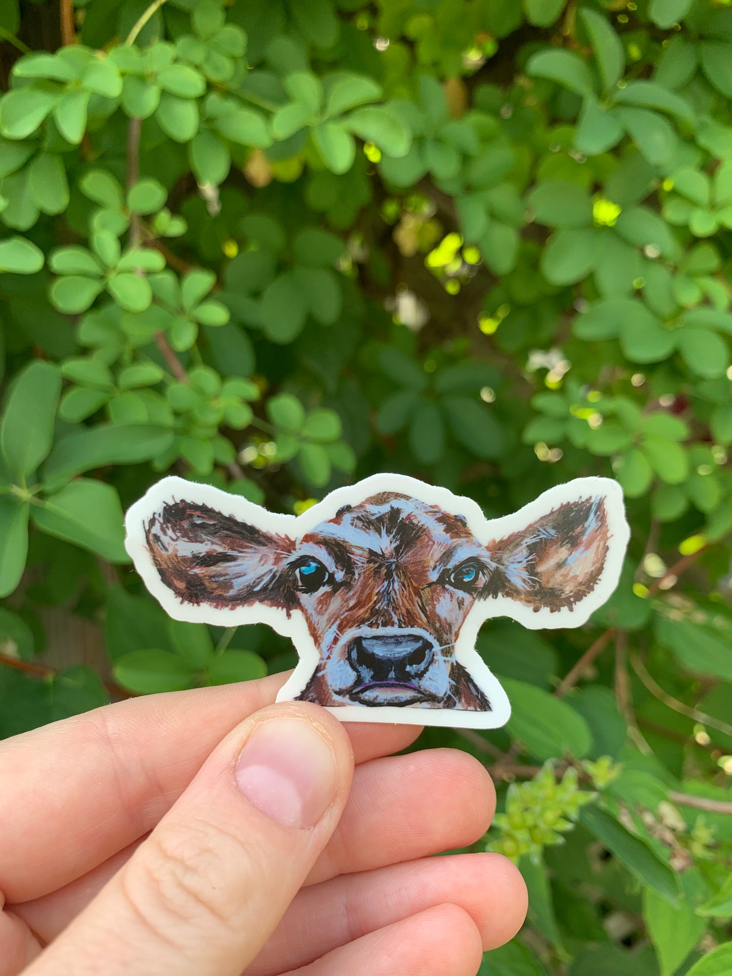 Baby Calf Vinyl Sticker
