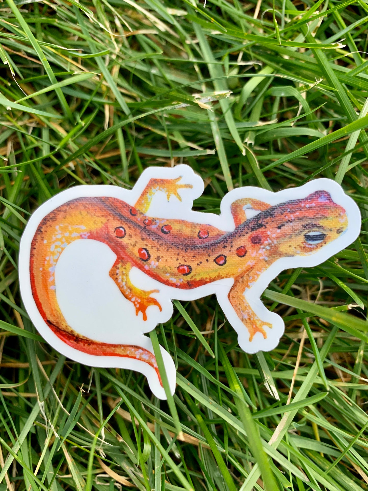 Red Eft Vinyl Sticker
