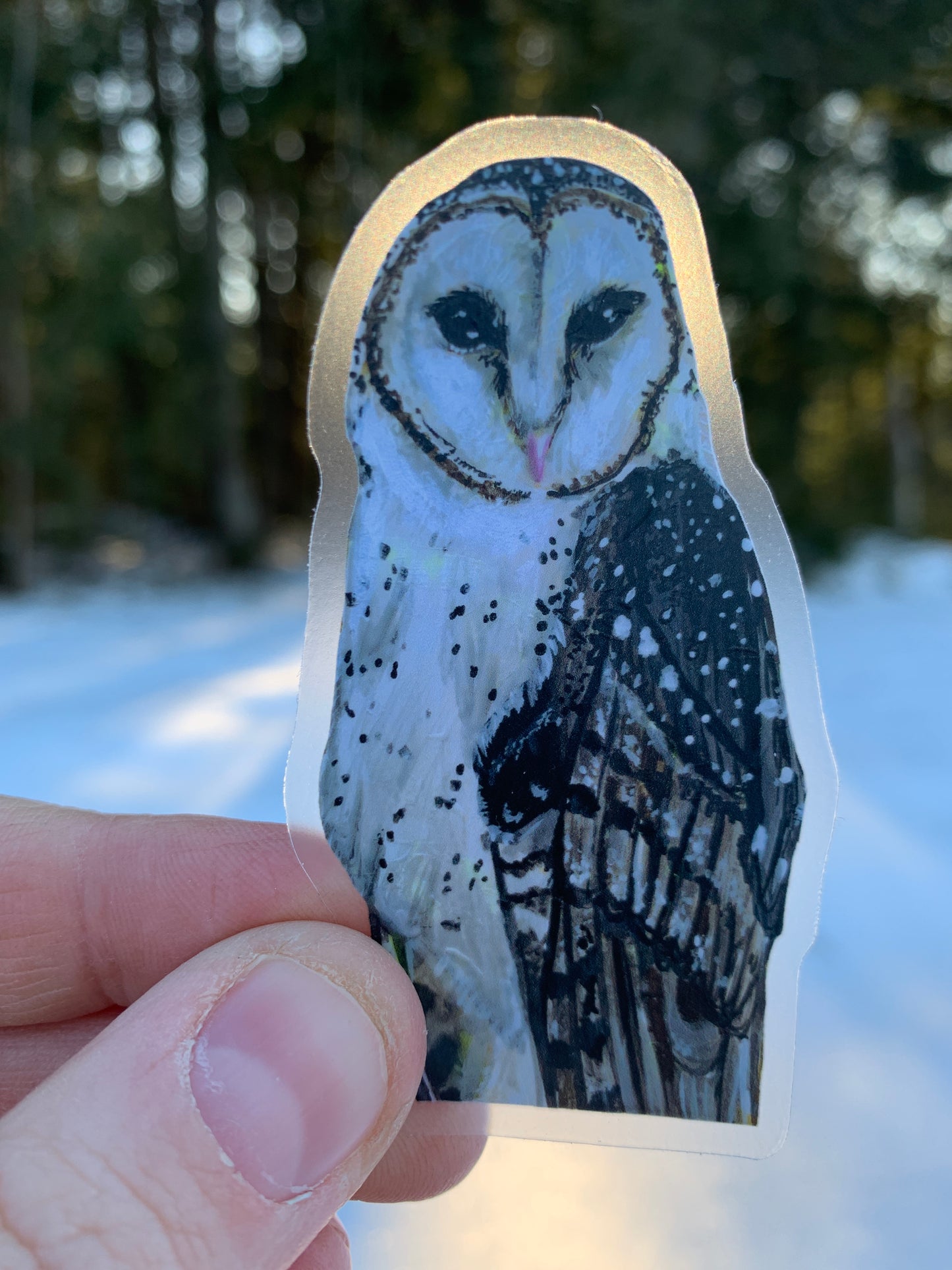 Clear Barn Owl Vinyl Sticker