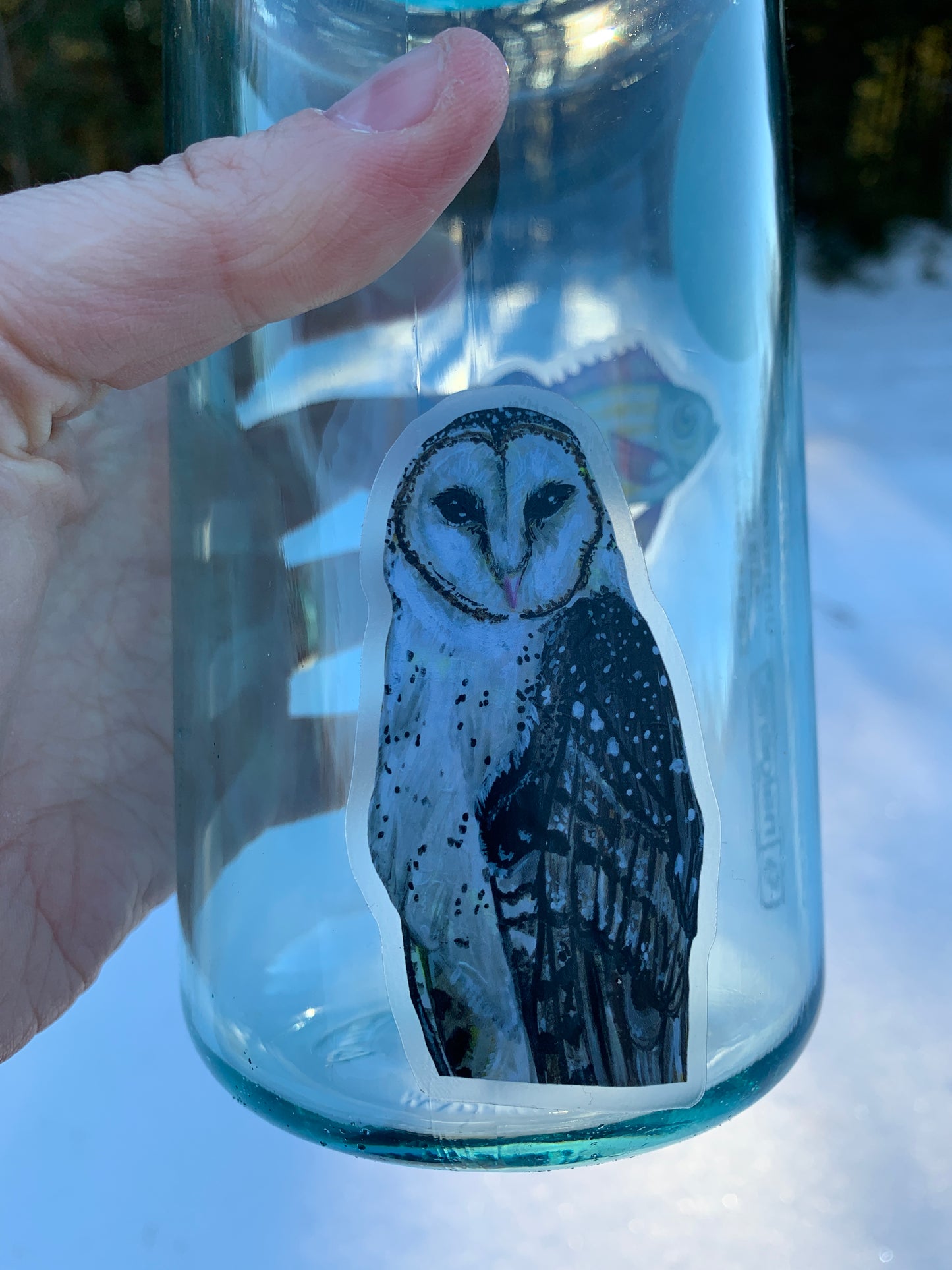 Clear Barn Owl Vinyl Sticker