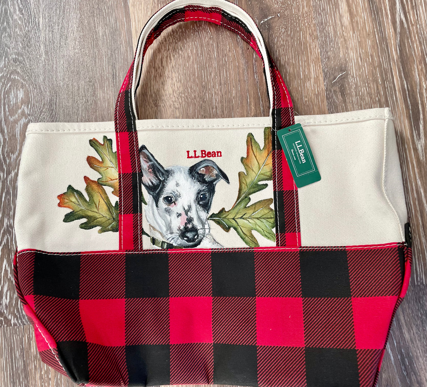 Custom Painted LLBean Boat and Tote Bag