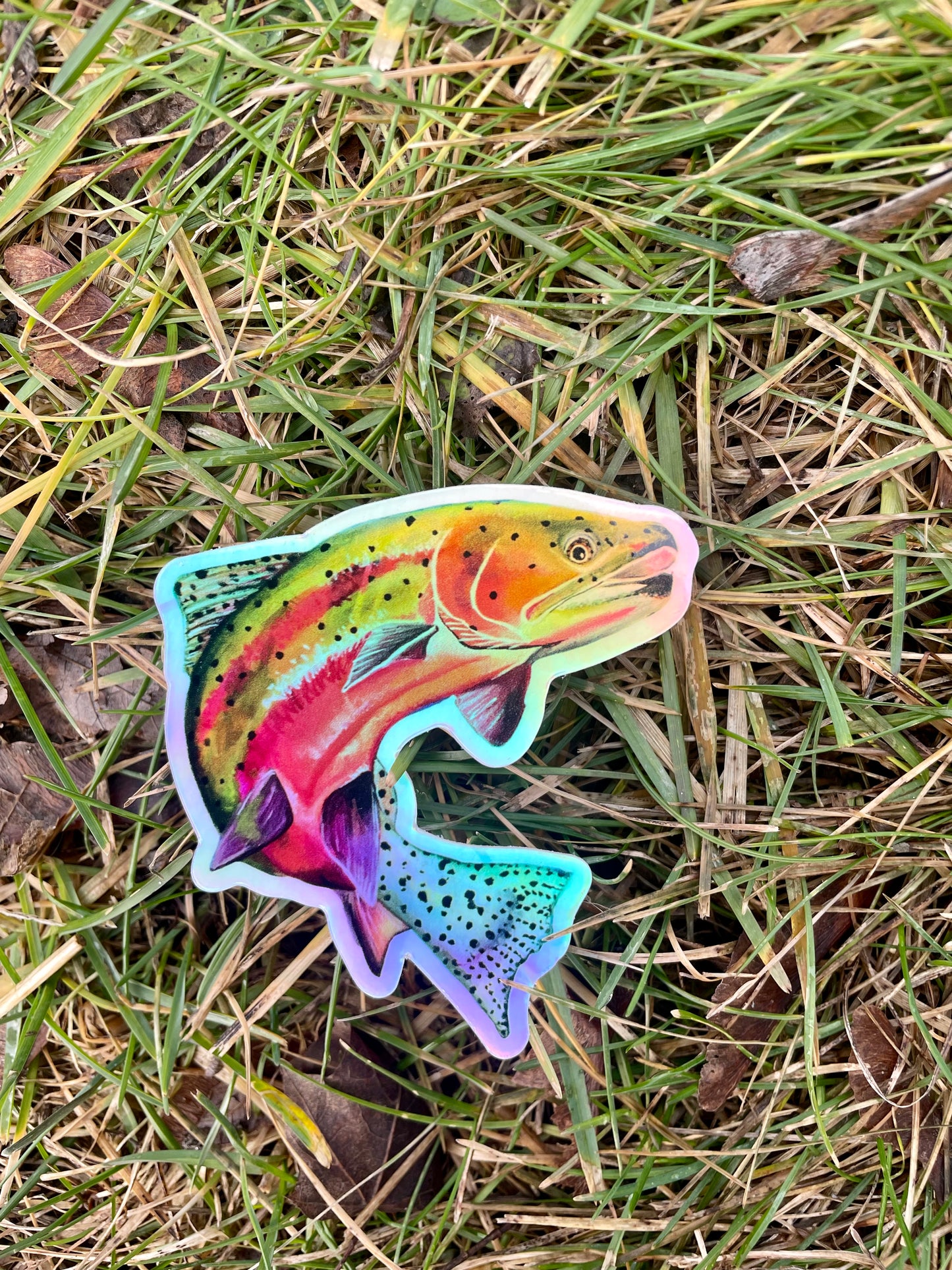Holographic Rainbow Trout Sticker
