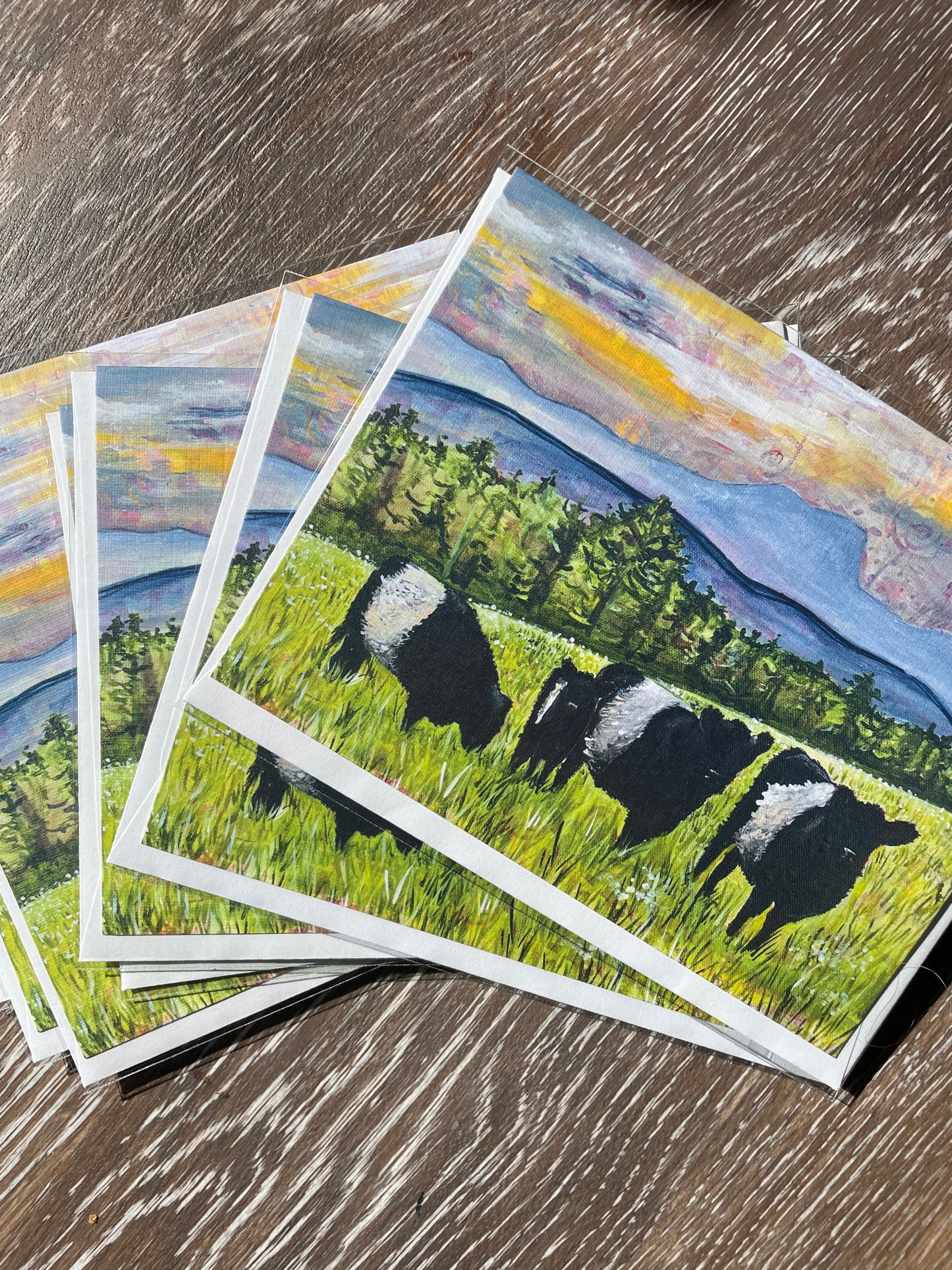 Belted Galloways and Camel's Hump Greeting Card