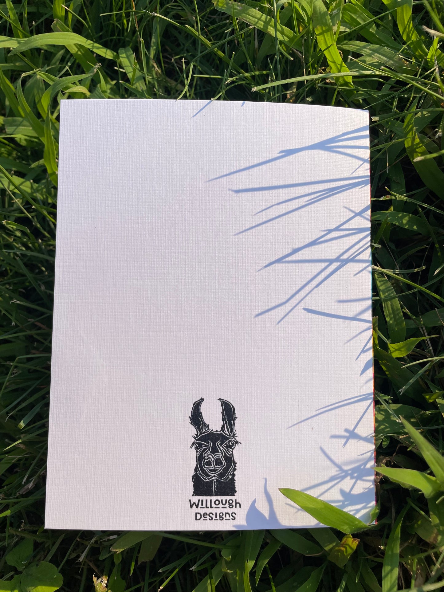 Chicken Greeting Card