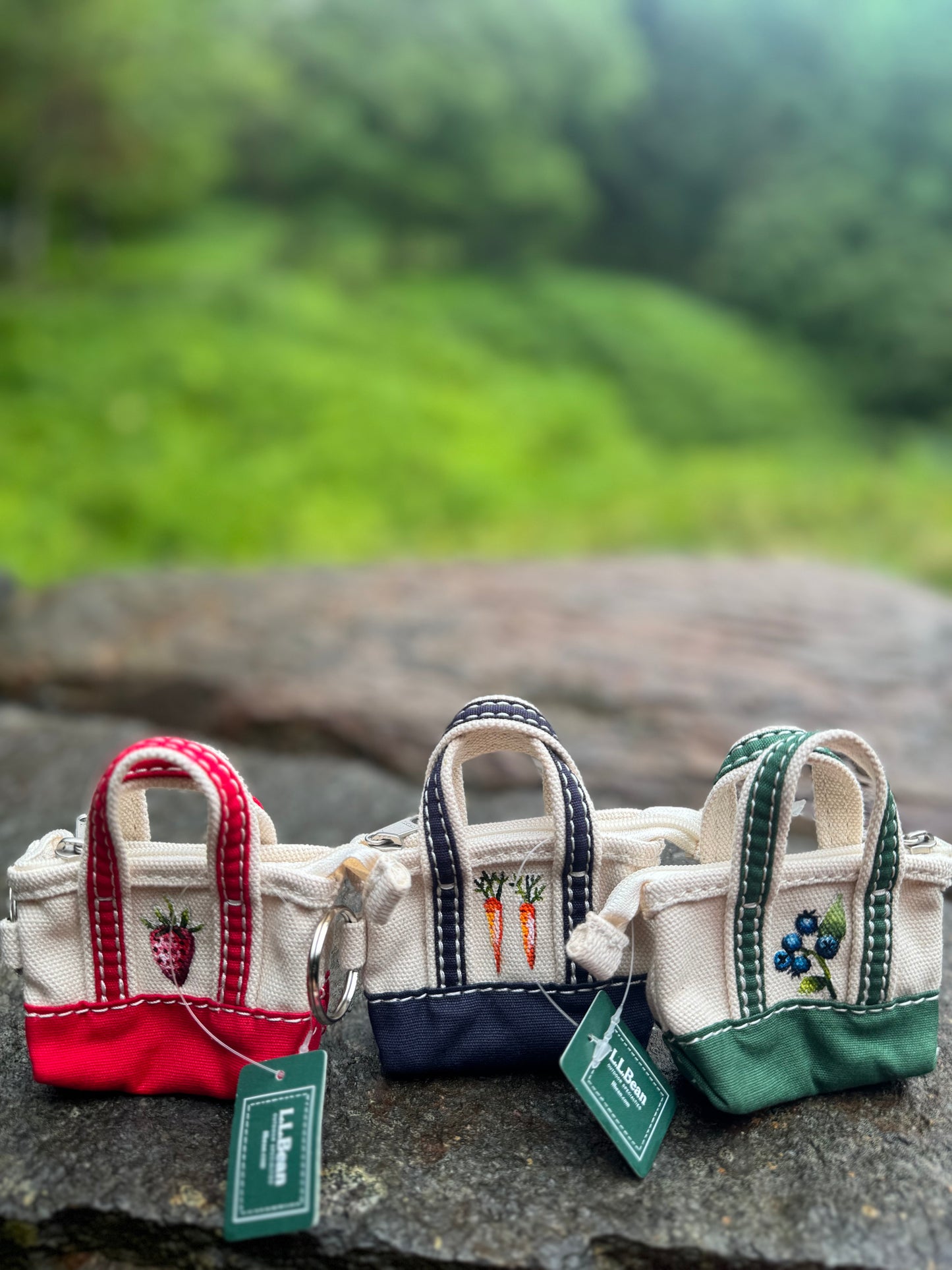 Custom Painted LLBean Boat and Tote Keychain