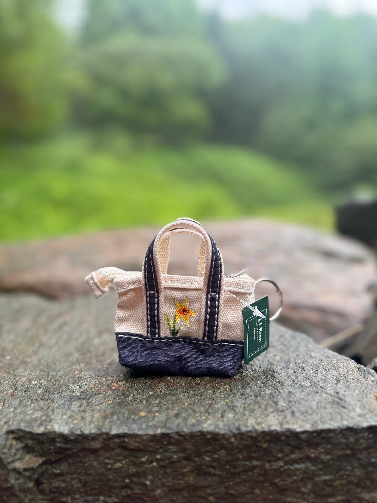 Custom Painted LLBean Boat and Tote Keychain