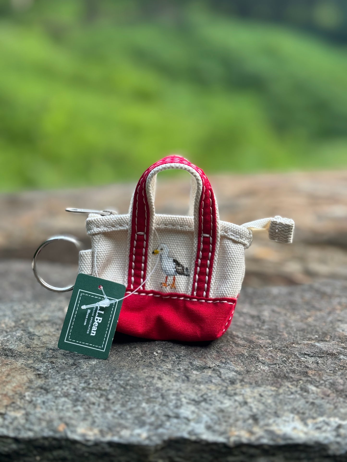 Custom Painted LLBean Boat and Tote Keychain