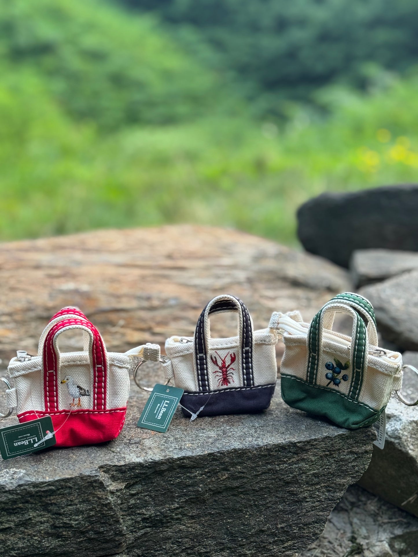 Custom Painted LLBean Boat and Tote Keychain