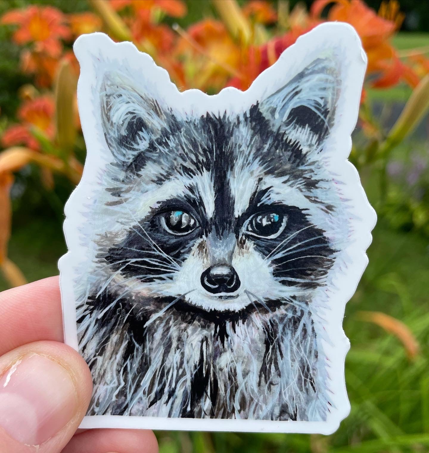 Sticker Racoon Raccoon Vinyl Sticker – Willough Designs