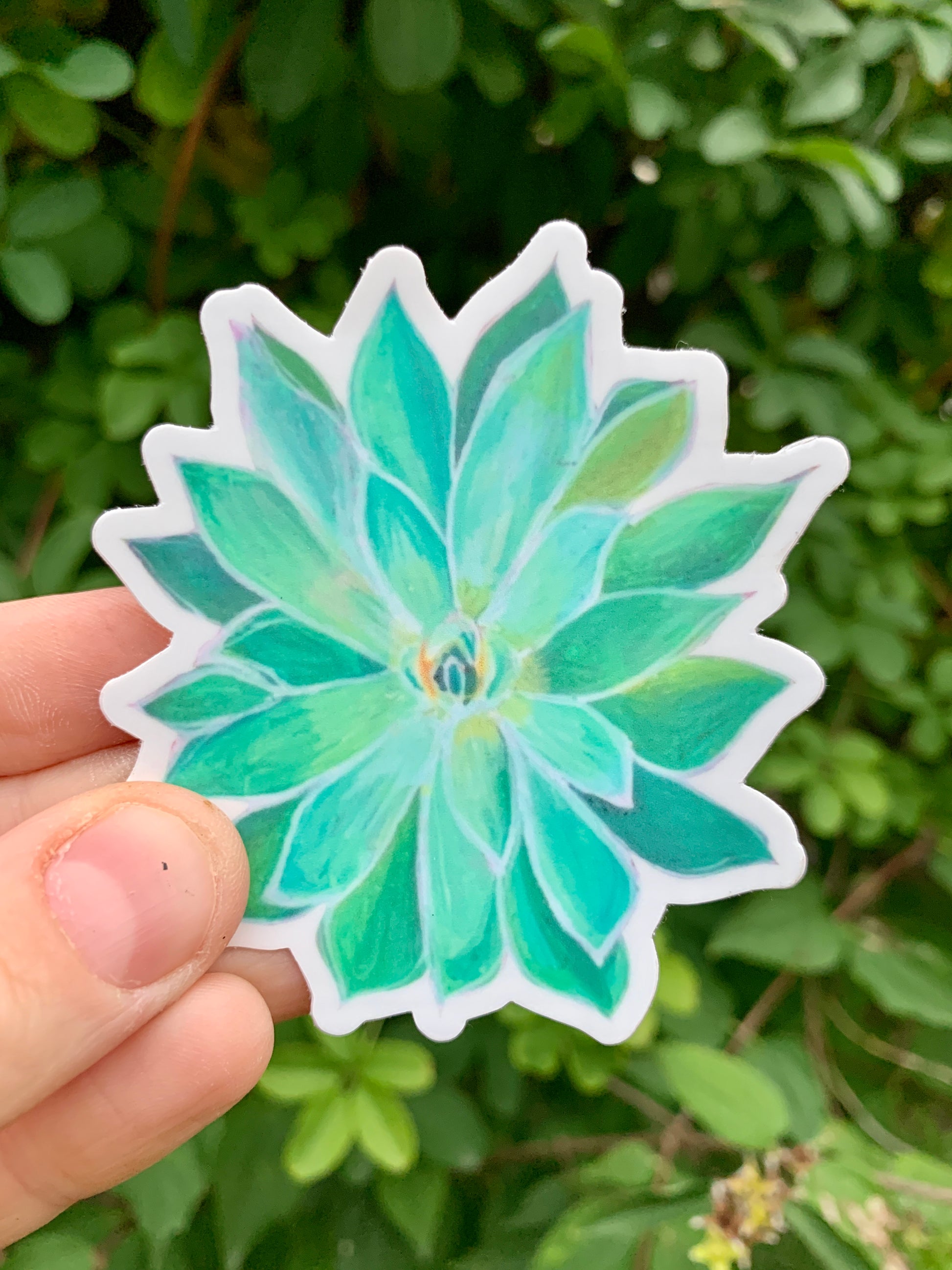 succulent vinyl Succulent Vinyl Sticker