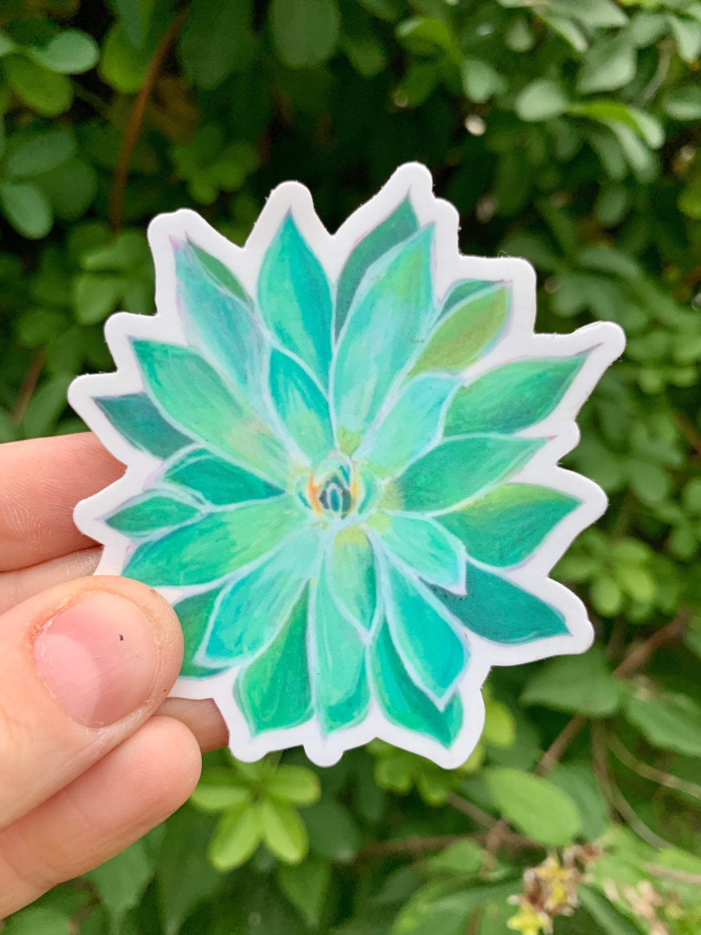 Succulent Vinyl Sticker