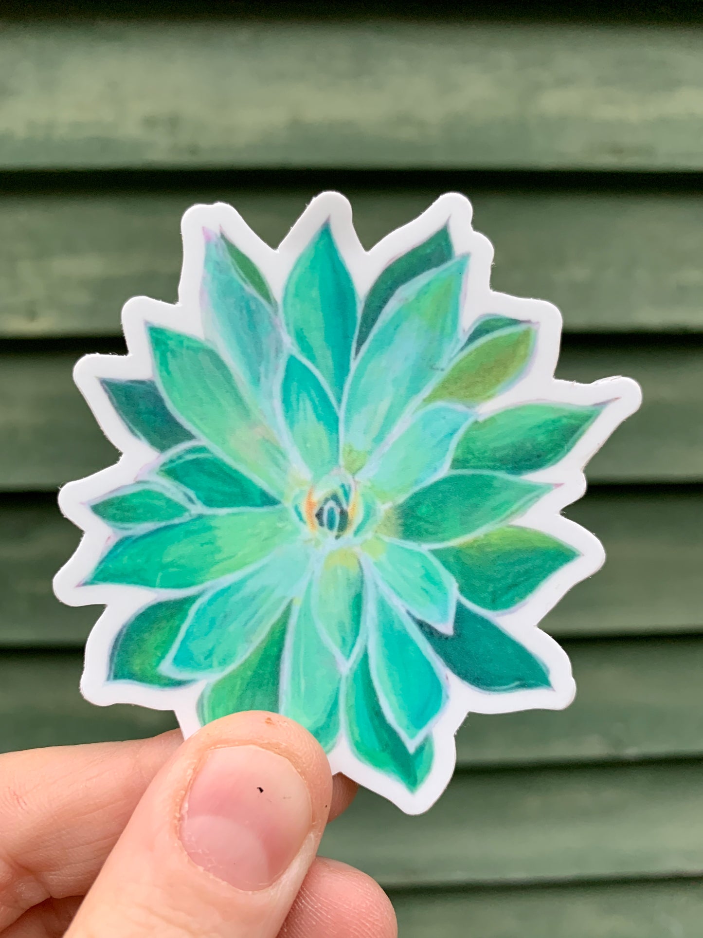 Succulent Vinyl Sticker