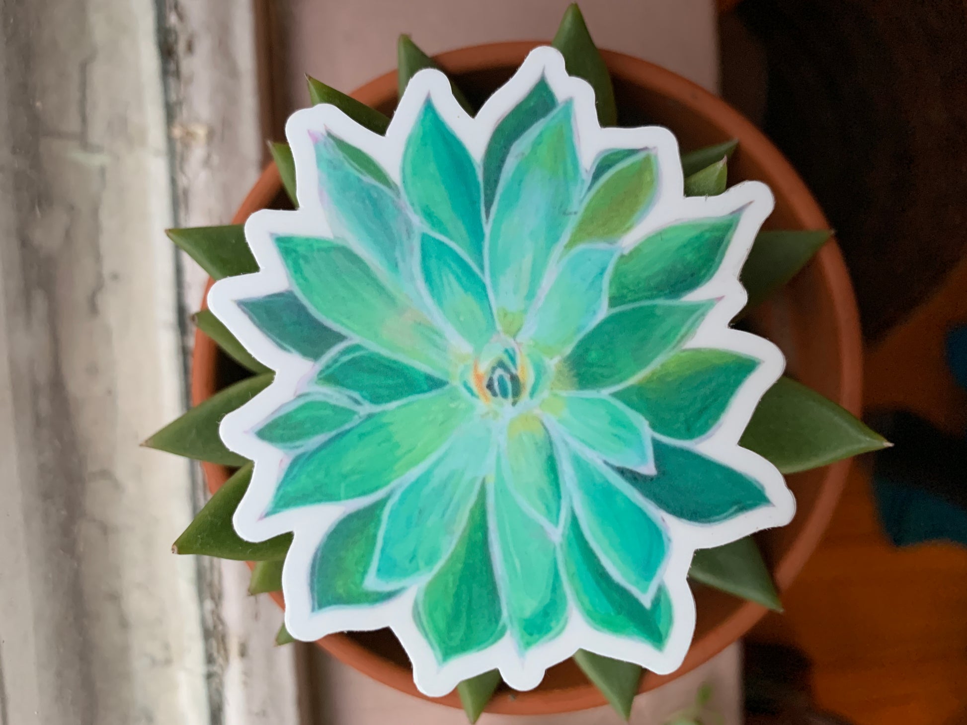 succulent vinyl Succulent Vinyl Sticker