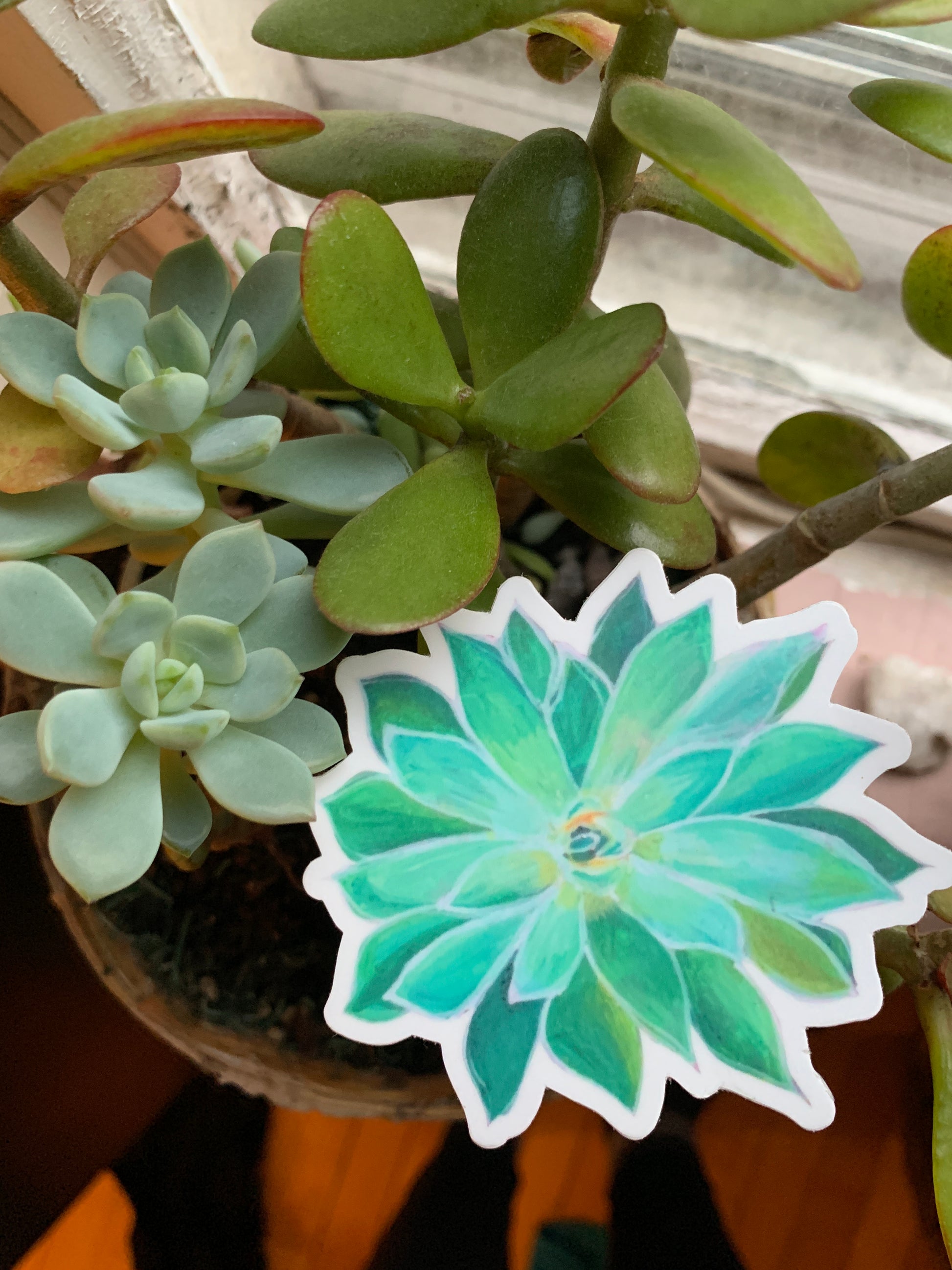 succulent vinyl Succulent Vinyl Sticker