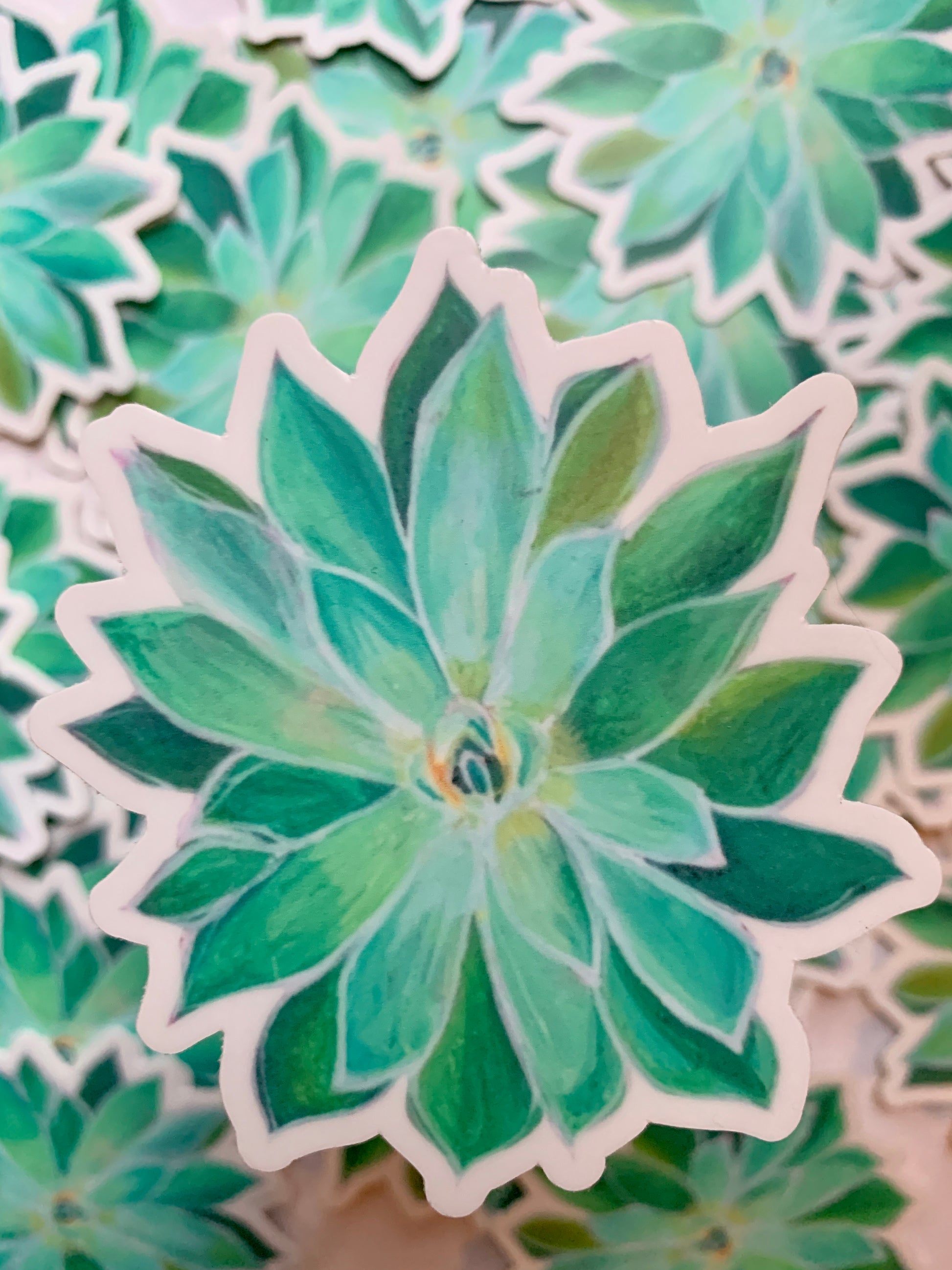 succulent vinyl Succulent Vinyl Sticker – Willough Designs