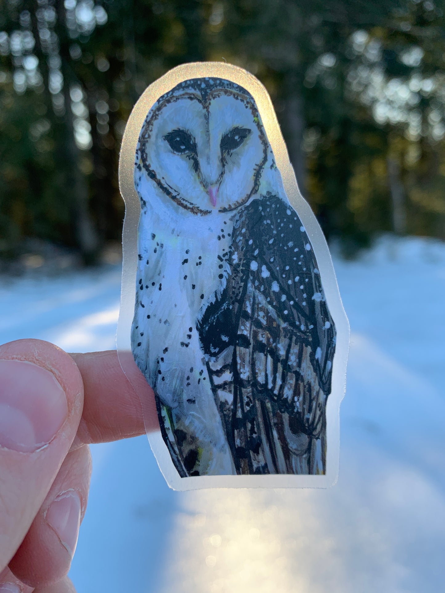 Clear Barn Owl Vinyl Sticker