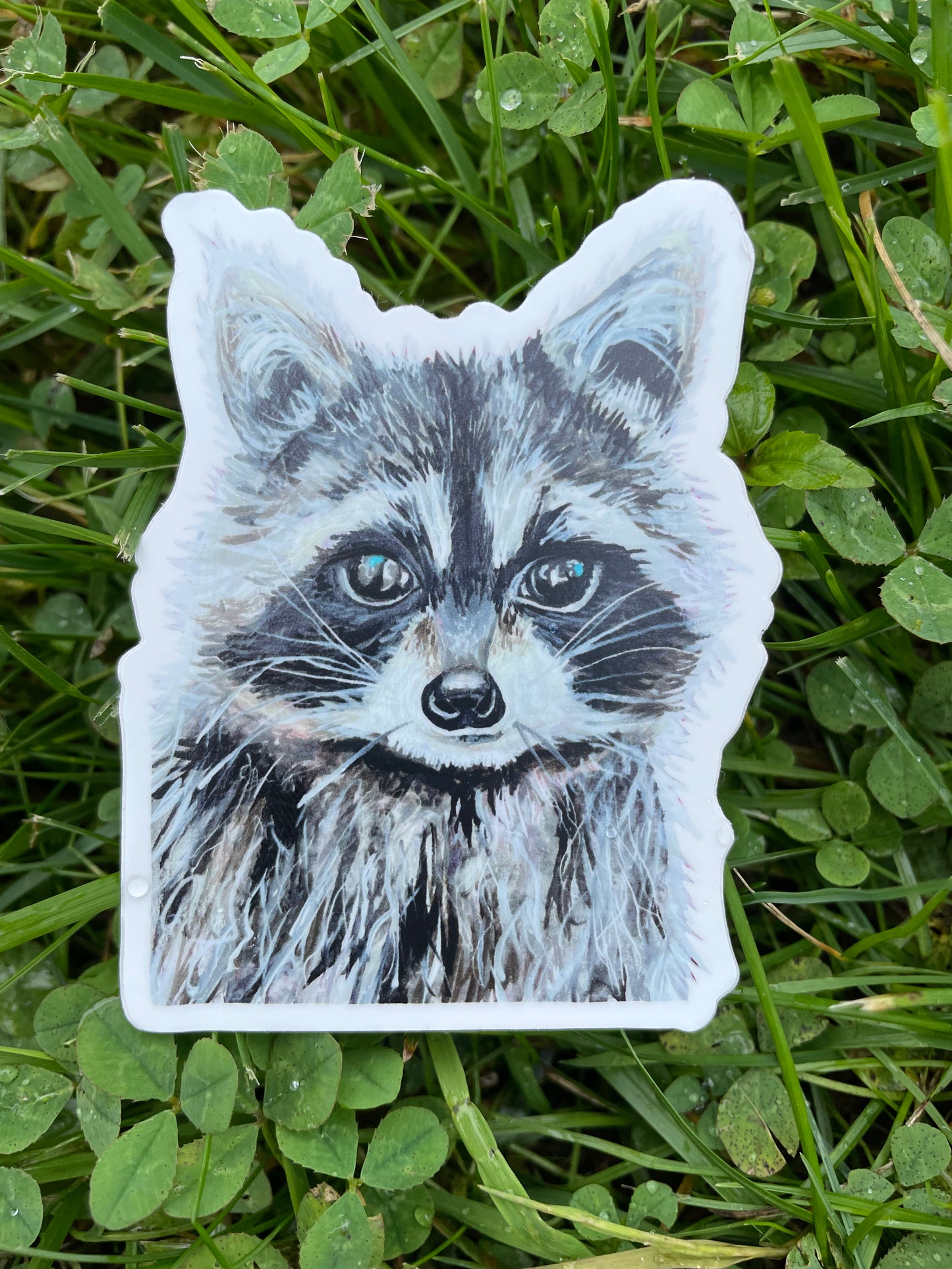 Raccoon Vinyl Sticker